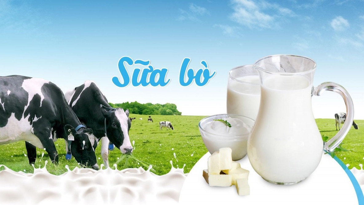 Những loại thực phẩm giàu canxi tốt cho xương nên đưa vào chế độ ăn uống hằng ngày