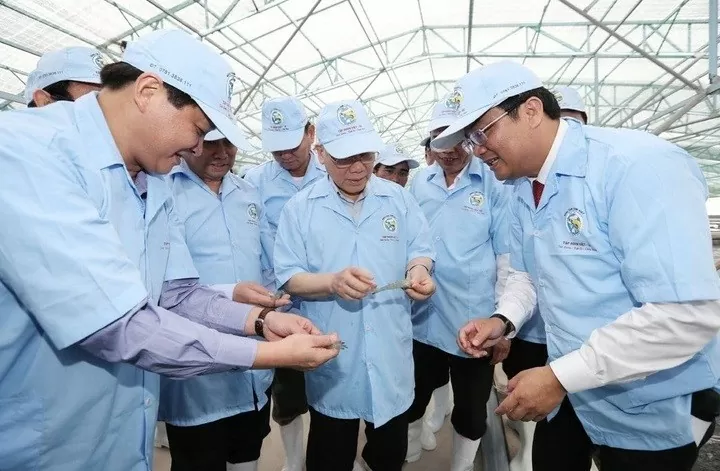 Truyền thông quốc tế ca ngợi thành tựu kinh tế của Việt Nam dưới sự lãnh đạo của Tổng Bí thư Nguyễn Phú Trọng Truyền thông quốc tế ca ngợi thành tựu kinh tế của Việt Nam dưới sự lãnh đạo của Tổng Bí thư Nguyễn Phú Trọng