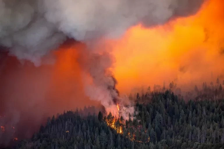 Mỹ: Gần 2.500 lính cứu hỏa đang chiến đấu với vụ cháy rừng nghiêm trọng ở California Mỹ: Gần 2.500 lính cứu hỏa đang chiến đấu với vụ cháy rừng nghiêm trọng ở California