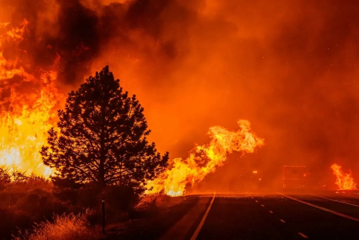 Mỹ: Gần 2.500 lính cứu hỏa đang chiến đấu với vụ cháy rừng nghiêm trọng ở California Mỹ: Gần 2.500 lính cứu hỏa đang chiến đấu với vụ cháy rừng nghiêm trọng ở California
