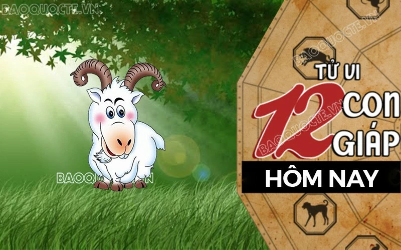 Tử vi hôm nay, xem tử vi 12 con giáp hôm nay ngày 7/8/2025: Tuổi Mùi cải thiện nguồn thu nhập
