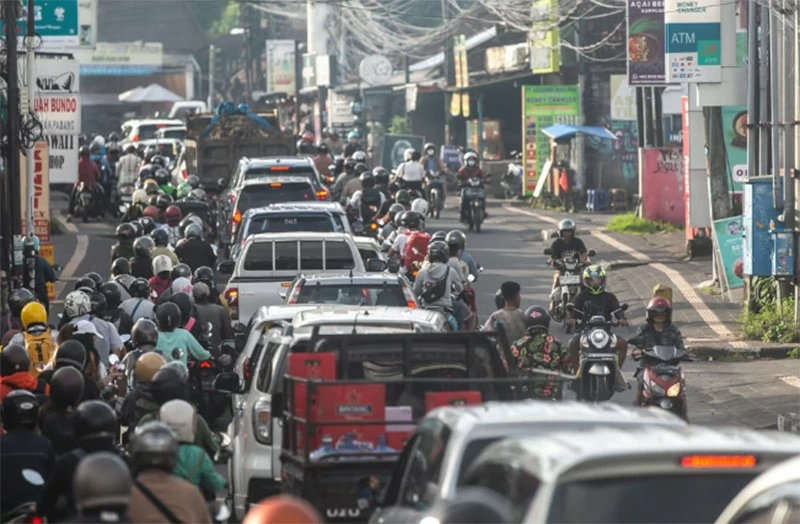 Indonesia: Lý do du khách ngày càng sợ 'món' này ở Bali Indonesia: Lý do du khách ngày càng sợ 'món' này ở Bali
