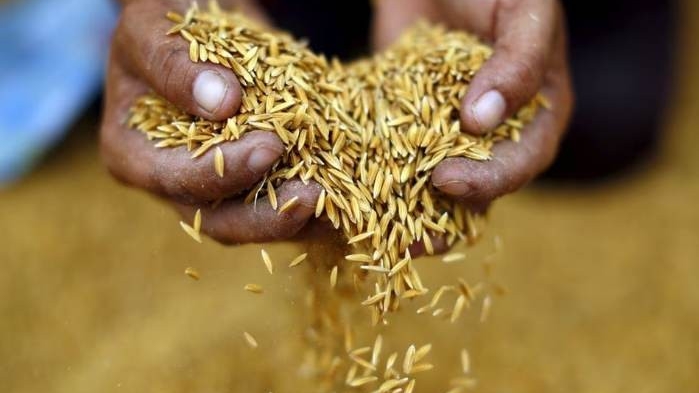 ADB hỗ trợ cho an ninh lương thực đạt 40 tỷ USD vào năm 2030