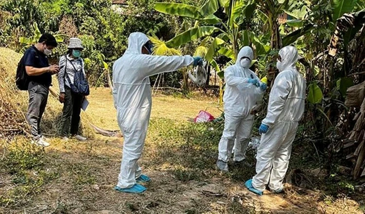 Nhân viên y tế Campuchia khử trùng khu vực có bệnh nhân nhiễm H5N1. (Nguồn: Khmer Times) Nhân viên y tế Campuchia khử trùng khu vực có bệnh nhân nhiễm H5N1. (Nguồn: Khmer Times)