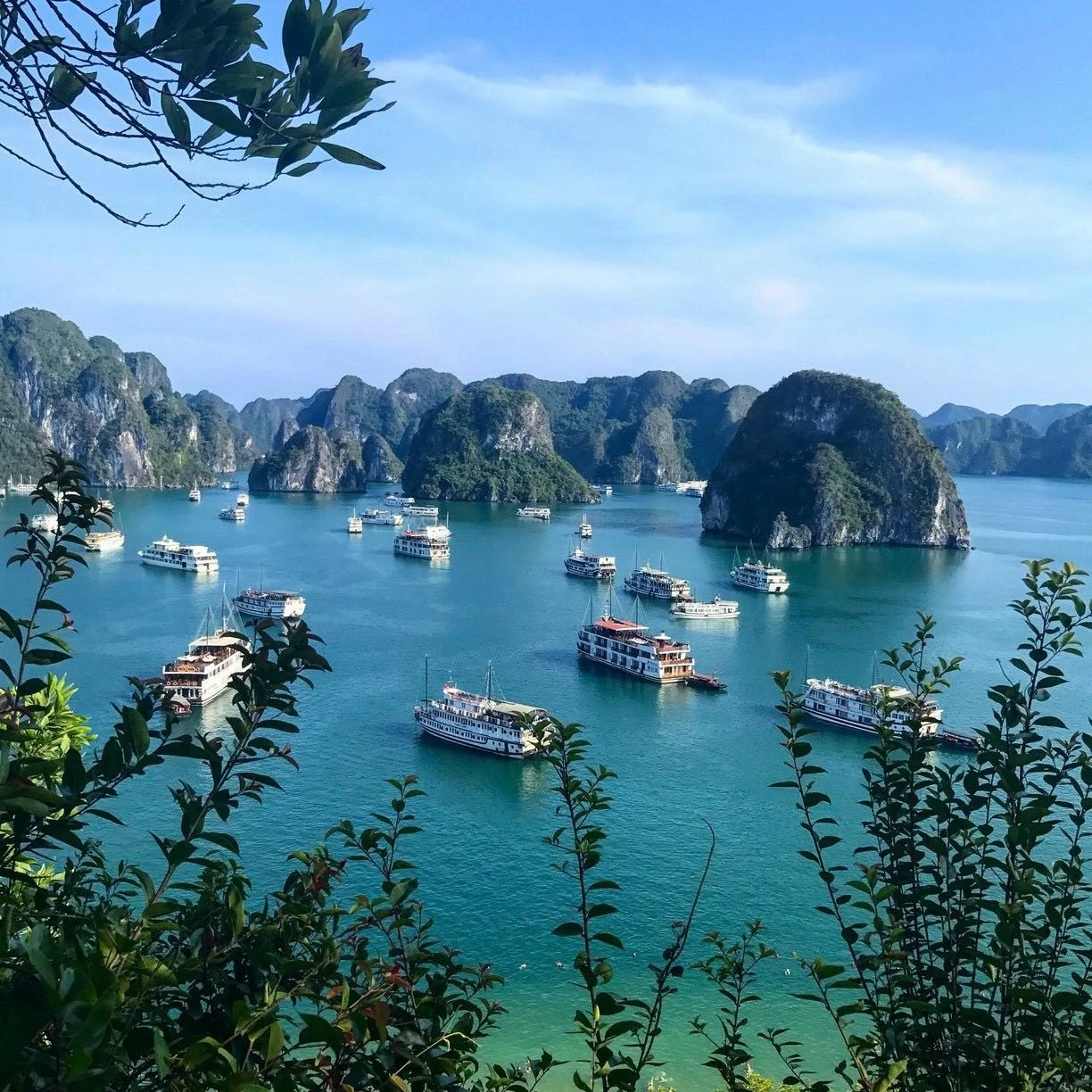 Ngắm trọn vẻ đẹp của vịnh Hạ Long từ đỉnh Ti Tốp Ngắm trọn vẻ đẹp của vịnh Hạ Long từ đỉnh Ti Tốp