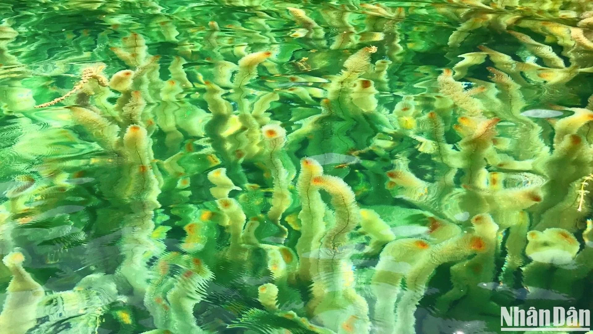 Tràng An những ngày chớm Thu Tràng An những ngày chớm Thu