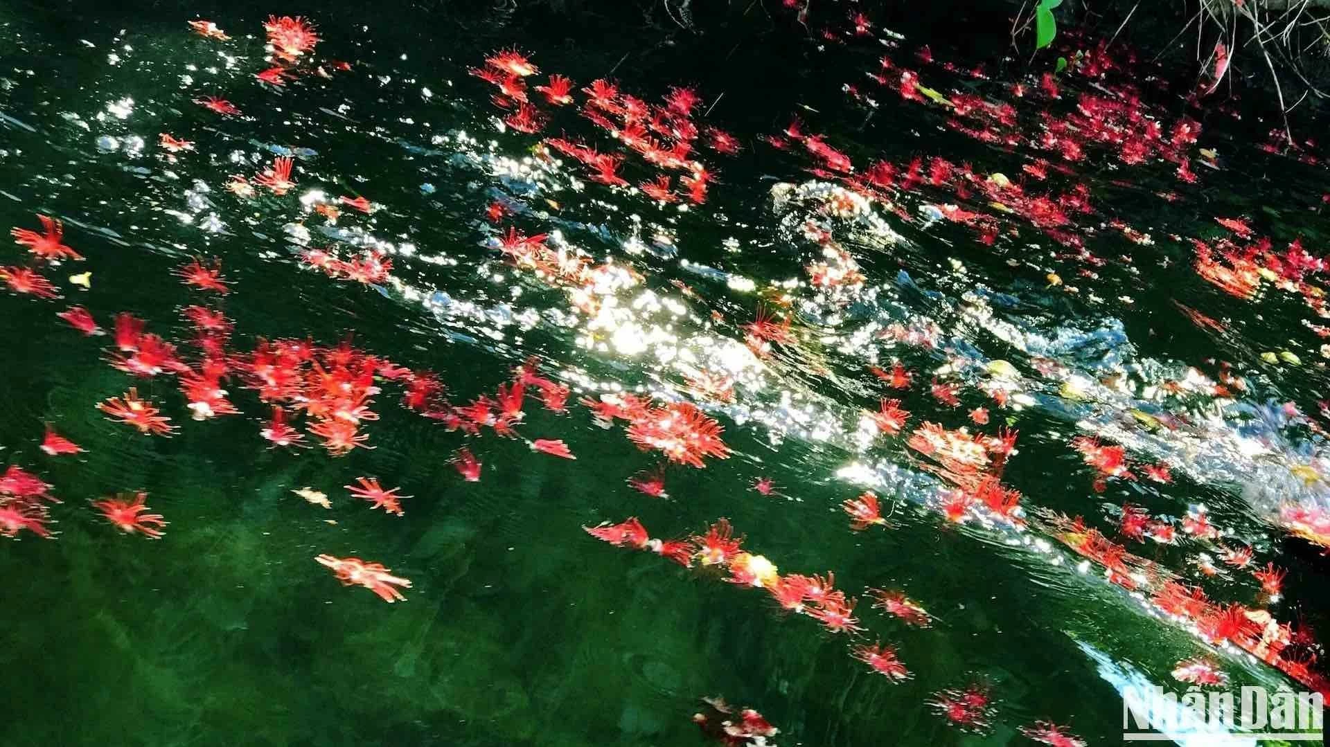 Tràng An những ngày chớm Thu Tràng An những ngày chớm Thu