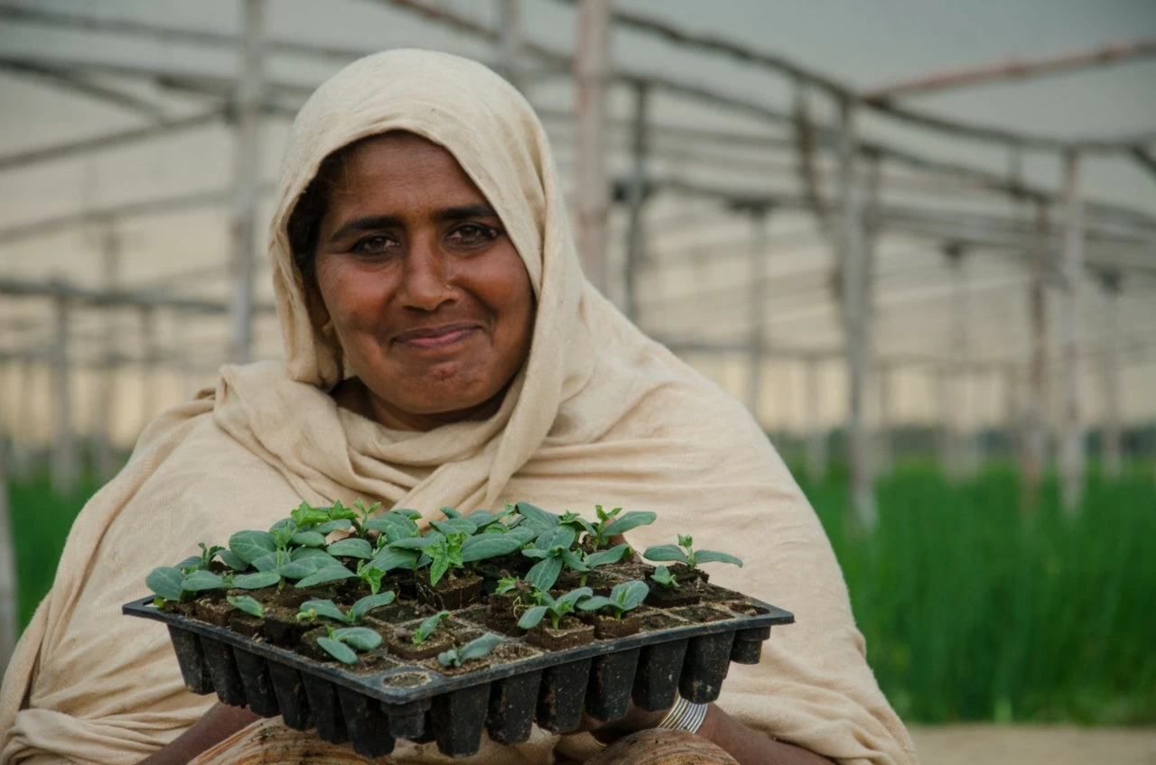 Để cách mạng hoá nền kinh tế, Pakistan ‘bắt tay’ với một ‘ông lớn’ ở châu Á. (Nguồn: CNFA) Để cách mạng hoá nền kinh tế, Pakistan ‘bắt tay’ với một ‘ông lớn’ ở châu Á. (Nguồn: CNFA)