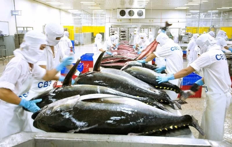 Tận dụng cam kết trong UKVFTA, đẩy mạnh xuất khẩu cá ngừ Việt Nam sang Vương quốc Anh Tận dụng cam kết trong UKVFTA, đẩy mạnh xuất khẩu cá ngừ Việt Nam sang Vương quốc Anh
