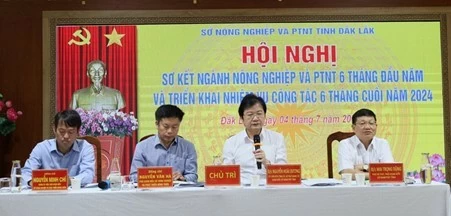 Các đại biểu chủ trì Hội nghị tổng kết công tác 6 tháng đầu năm và triển khai nhiệm vụ 6 tháng cuối năm 2024 của Sở Nông nghiệp và Phát triển Nông thôn tỉnh Đắk Lắk. Các đại biểu chủ trì Hội nghị tổng kết công tác 6 tháng đầu năm và triển khai nhiệm vụ 6 tháng cuối năm 2024 của Sở Nông nghiệp và Phát triển Nông thôn tỉnh Đắk Lắk.