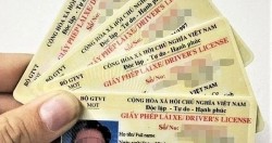 Giấy phép lái xe ô tô hạng B, C1, C, D1, D2, D, BE, C1E, CE, D1E, D2E, DE lái được những xe gì?