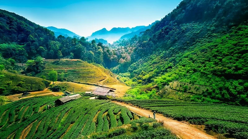 Chiang Mai nép mình bên dòng Ping thơ mộng, quyến rũ du khách bởi vẻ đẹp tự nhiên và nét cổ kính đặc trưng. (Ảnh: Kayak) Chiang Mai nép mình bên dòng Ping thơ mộng, quyến rũ du khách bởi vẻ đẹp tự nhiên và nét cổ kính đặc trưng. (Ảnh: Kayak)