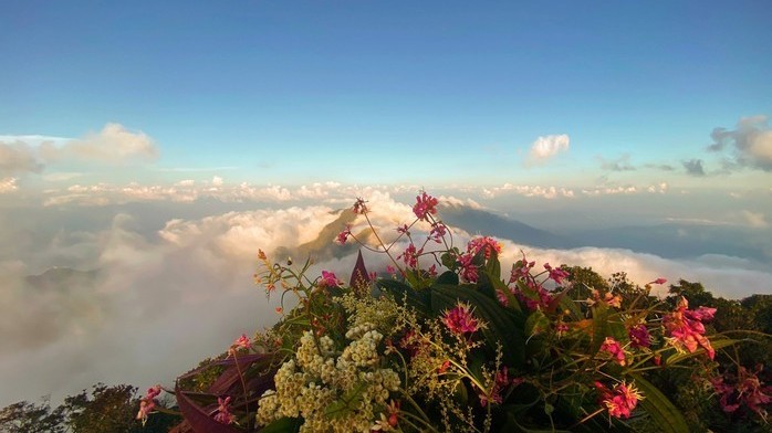 Mặt trận Vị Xuyên, Hà Giang: Miền đá đã 'nở hoa'