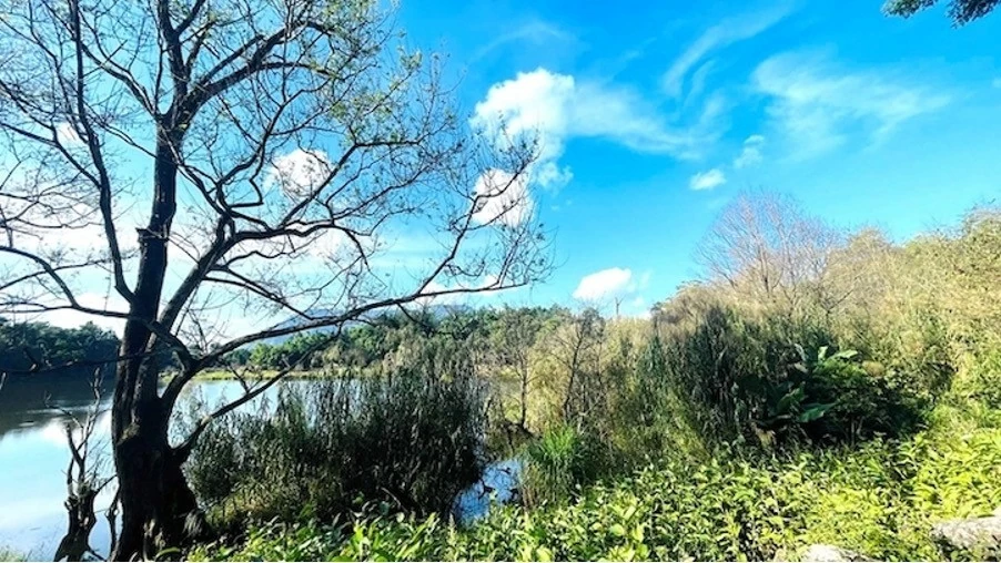 Mặt trận Vị Xuyên, Hà Giang: Miền đá đã 'nở hoa' Mặt trận Vị Xuyên, Hà Giang: Miền đá đã 'nở hoa'