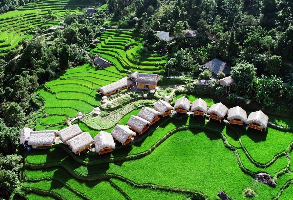 Hà Giang: Đến ngay Hoàng Su Phì chiêm ngưỡng ‘bức tranh’ ruộng bậc thang mùa lúa xanh Hà Giang: Đến ngay Hoàng Su Phì chiêm ngưỡng ‘bức tranh’ ruộng bậc thang mùa lúa xanh