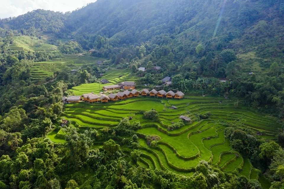 Hà Giang: Đến ngay Hoàng Su Phì chiêm ngưỡng ‘bức tranh’ ruộng bậc thang mùa lúa xanh Hà Giang: Đến ngay Hoàng Su Phì chiêm ngưỡng ‘bức tranh’ ruộng bậc thang mùa lúa xanh