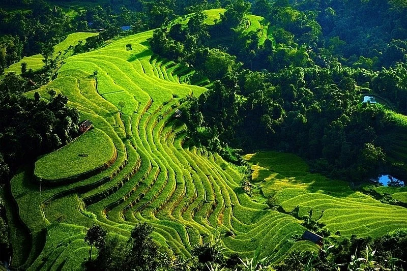 Hà Giang: Đến ngay Hoàng Su Phì chiêm ngưỡng ‘bức tranh’ ruộng bậc thang mùa lúa xanh Hà Giang: Đến ngay Hoàng Su Phì chiêm ngưỡng ‘bức tranh’ ruộng bậc thang mùa lúa xanh