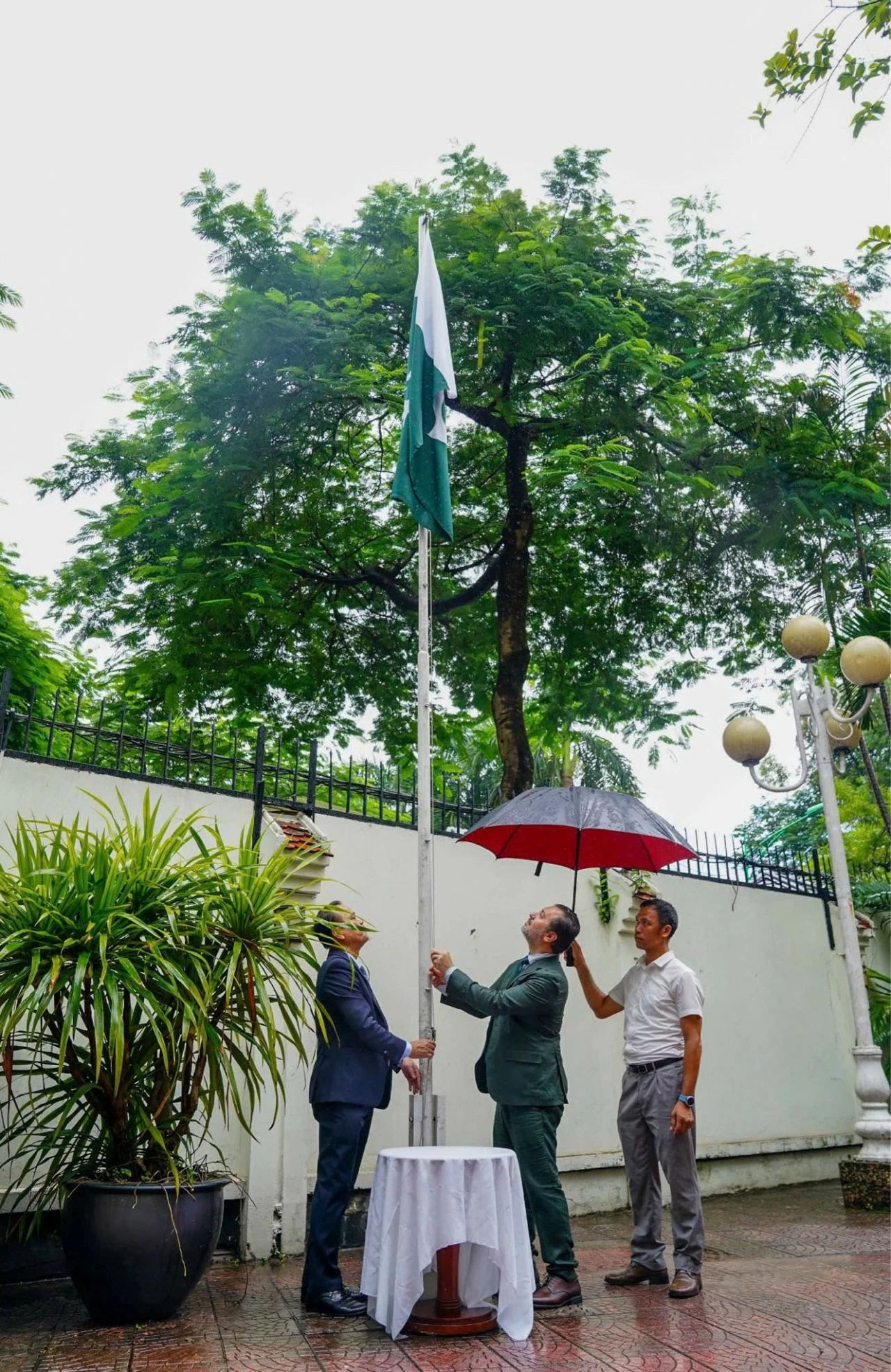 Đại sứ quán Pakistan thượng cờ kỷ niệm 77 năm Ngày Độc lập Đại sứ quán Pakistan thượng cờ kỷ niệm 77 năm Ngày Độc lập