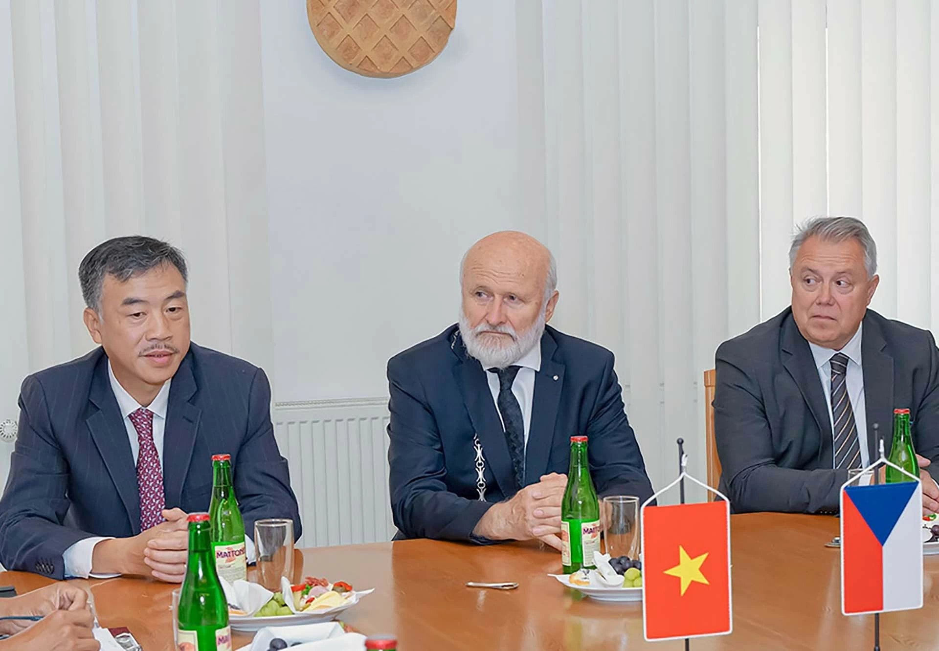 Thúc đẩy hợp tác địa phương giữa Việt Nam và Cộng hòa Czech Thúc đẩy hợp tác địa phương giữa Việt Nam và Cộng hòa Czech
