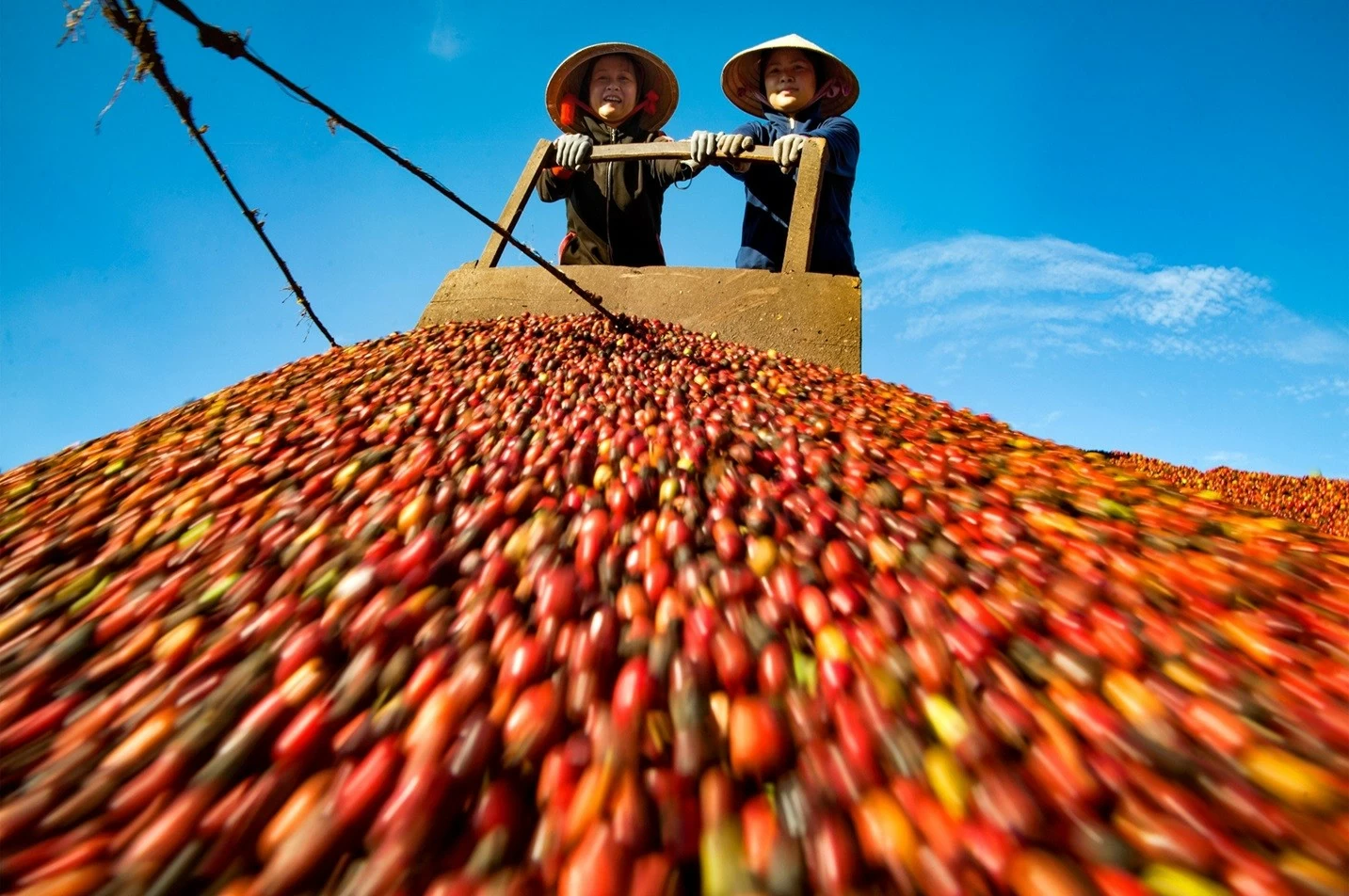 Mở 'kho báu' Đắk Lắk Mở 'kho báu' Đắk Lắk