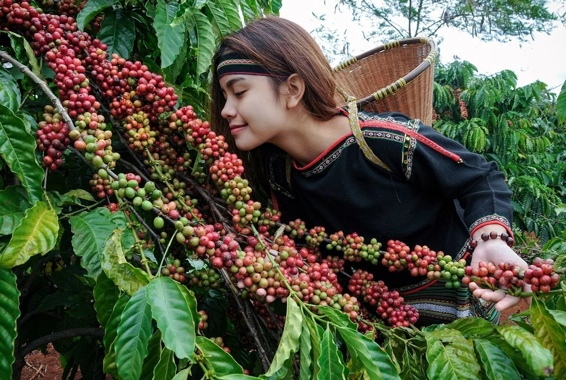 Mở 'kho báu' Đắk Lắk Mở 'kho báu' Đắk Lắk