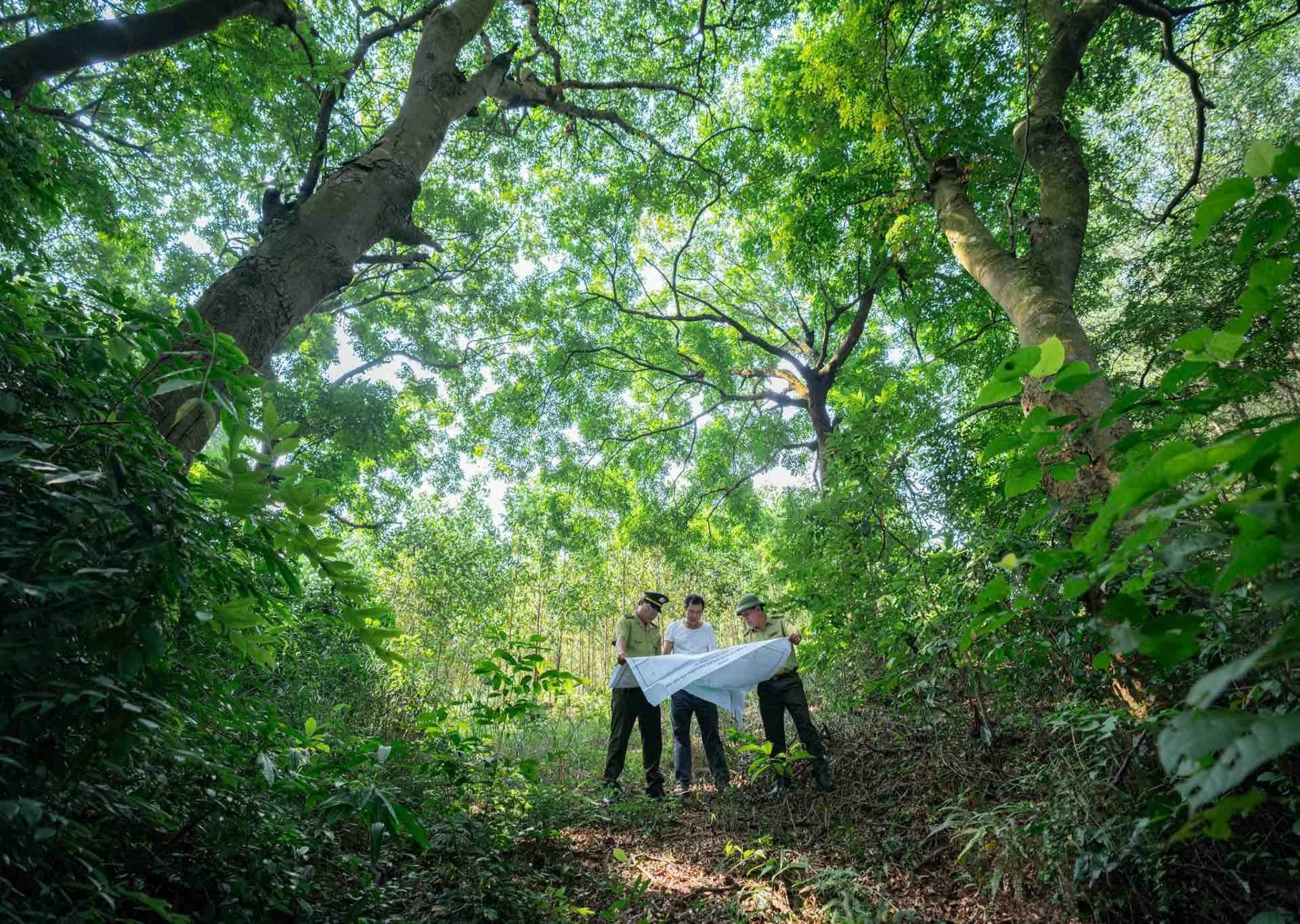 Hàng chục năm qua, các hộ dân trong xã vẫn tình nguyện cùng lực lượng kiểm lâm tham gia chăm sóc, bảo vệ rừng. Ảnh: Đức Hoàng Hàng chục năm qua, các hộ dân trong xã vẫn tình nguyện cùng lực lượng kiểm lâm tham gia chăm sóc, bảo vệ rừng. Ảnh: Đức Hoàng