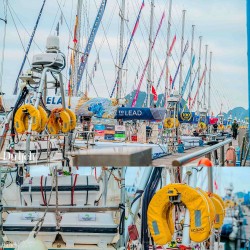 Lễ hội ‘Vượt sóng Hạ Long - 2024’: Mãn nhãn với những màn trình diễn thuyền buồm đẳng cấp