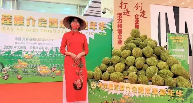 Báo Trung Quốc: Hợp tác kinh tế thương mại Việt Nam-Trung Quốc mở ra một tương lai tốt đẹp hơn Báo Trung Quốc: Hợp tác kinh tế thương mại Việt Nam-Trung Quốc mở ra một tương lai tốt đẹp hơn