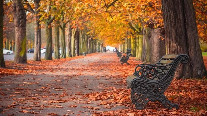 Những góc dịu dàng của mùa thu châu Âu lãng mạn. Những góc dịu dàng của mùa thu châu Âu lãng mạn.