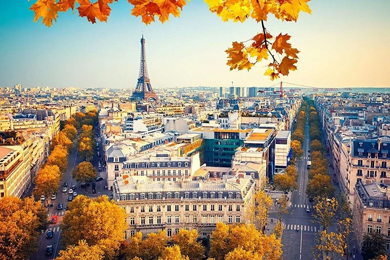 Sắc thu xao xuyến nắng vàng trên đường phố Paris.