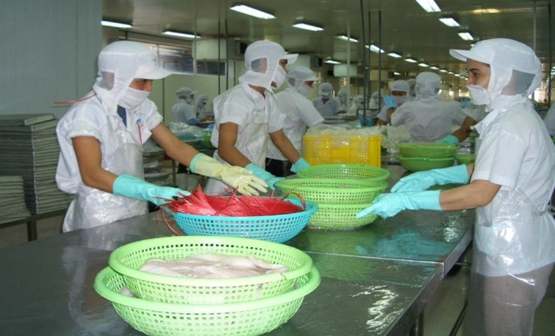 Mexico vươn lên là thị trường đứng đầu trong khối CPTPP nhập khẩu cá tra Việt Nam Mexico vươn lên là thị trường đứng đầu trong khối CPTPP nhập khẩu cá tra Việt Nam