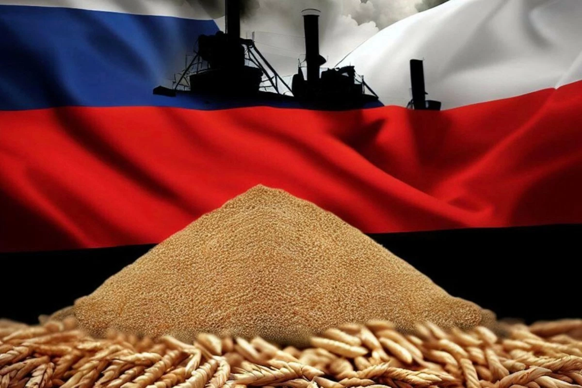 Tình hình Kursk: Kinh tế vùng bị Ukraine tấn công quan trọng thế nào đối với Nga Tình hình Kursk: Kinh tế vùng bị Ukraine tấn công quan trọng thế nào đối với Nga