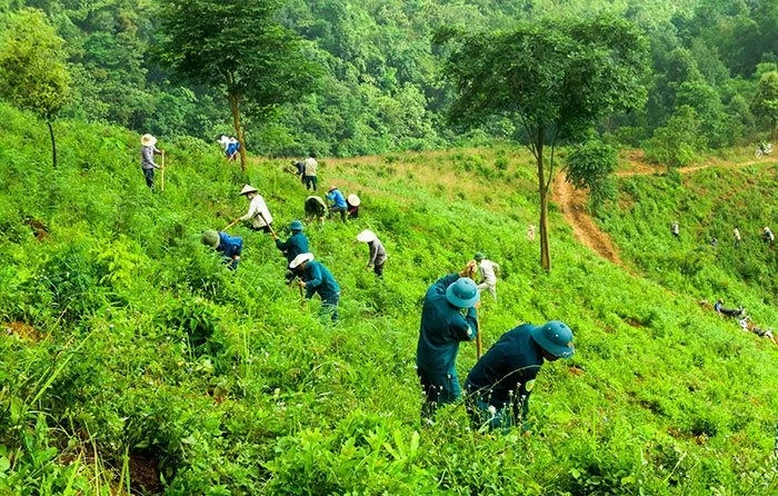 Xanh hóa để tận dụng lợi ích từ EVFTA Xanh hóa để tận dụng lợi ích từ EVFTA