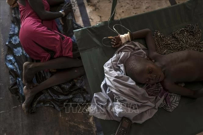 WHO cảnh báo về làn sóng dịch tả mới ở Sudan WHO cảnh báo về làn sóng dịch tả mới ở Sudan