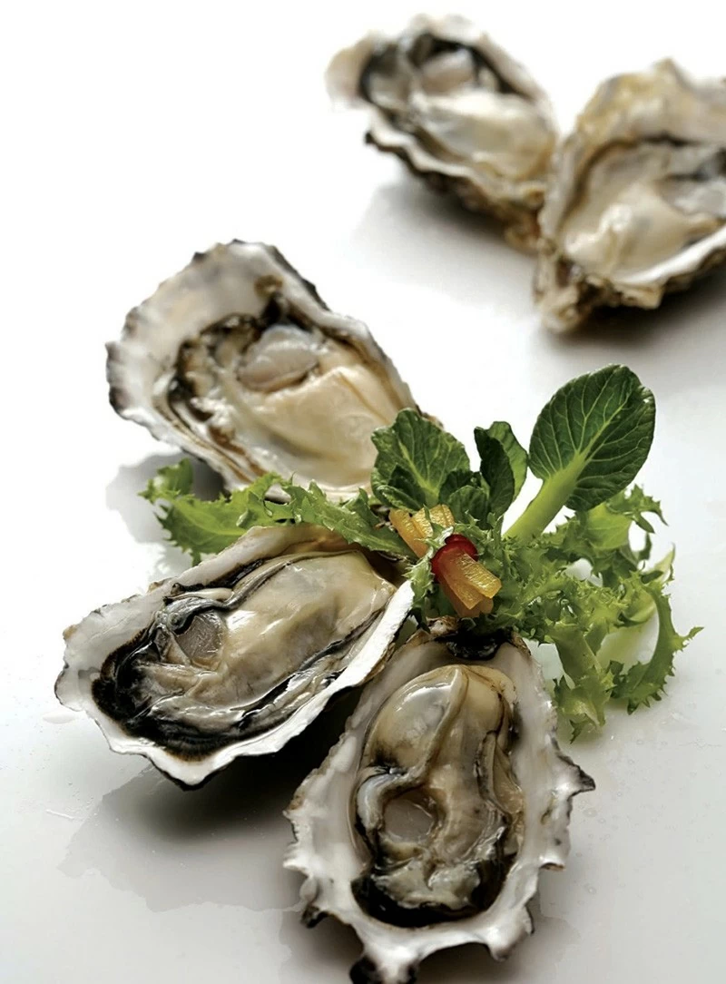 Hàu Hàn Quốc. Hàu Hàn Quốc.