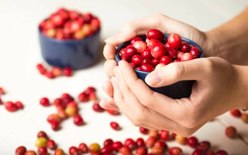 Nam việt quất chứa nhiều chất dinh dưỡng có lợi cho sức khỏe xương. (Nguồn: bachhoaxanh) Nam việt quất chứa nhiều chất dinh dưỡng có lợi cho sức khỏe xương. (Nguồn: bachhoaxanh)