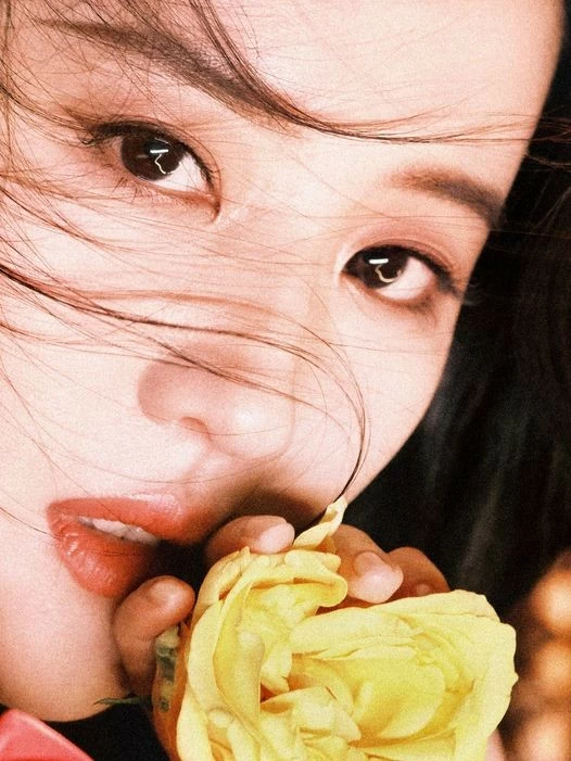 Lưu Diệc Phi mừng sinh nhật tuổi 37 Lưu Diệc Phi mừng sinh nhật tuổi 37