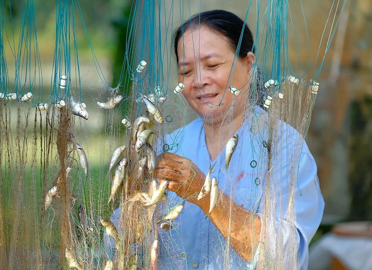 An Giang: Nét đẹp vùng biên Châu Đốc mùa nước nổi An Giang: Nét đẹp vùng biên Châu Đốc mùa nước nổi