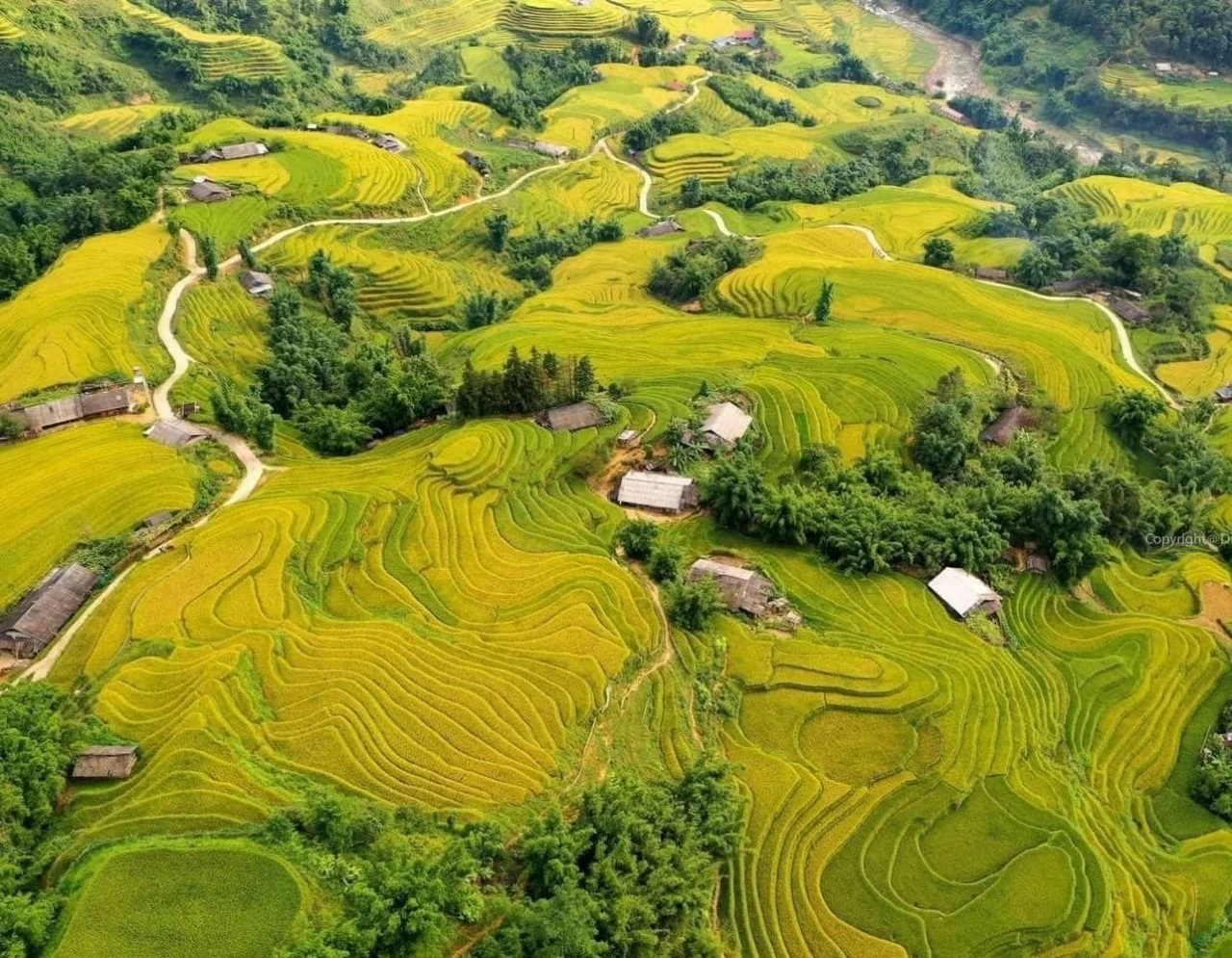 Đừng bỏ lỡ Tả Van khi du lịch Sa Pa mùa lúa chín Đừng bỏ lỡ Tả Van khi du lịch Sa Pa mùa lúa chín