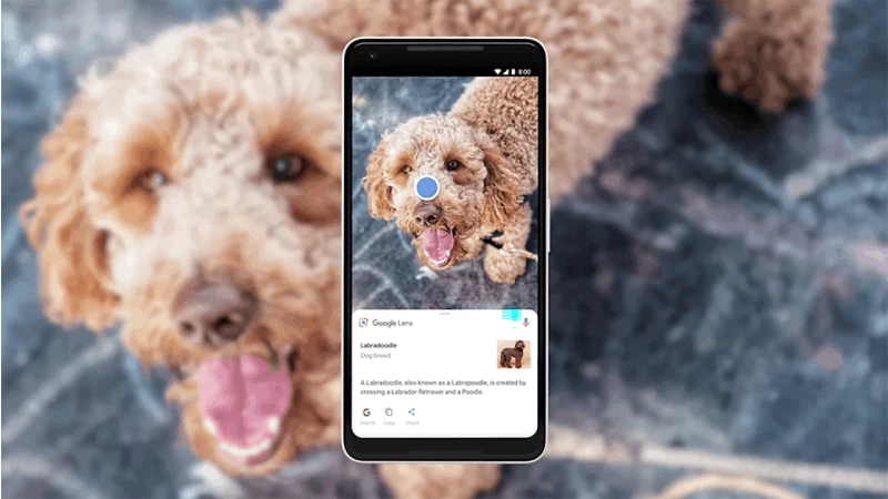 Tra cứu thông tin dễ dàng với Google Lens trên điện thoại và máy tính Tra cứu thông tin dễ dàng với Google Lens trên điện thoại và máy tính