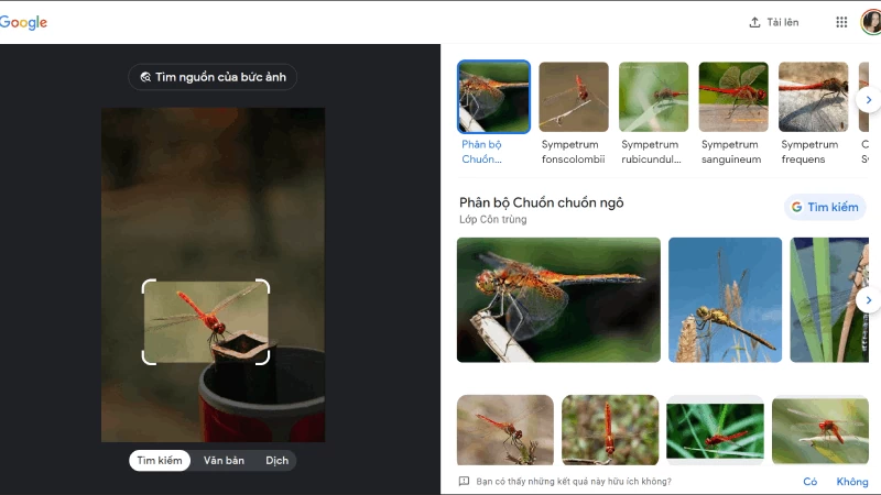 Tra cứu thông tin dễ dàng với Google Lens trên điện thoại và máy tính Tra cứu thông tin dễ dàng với Google Lens trên điện thoại và máy tính