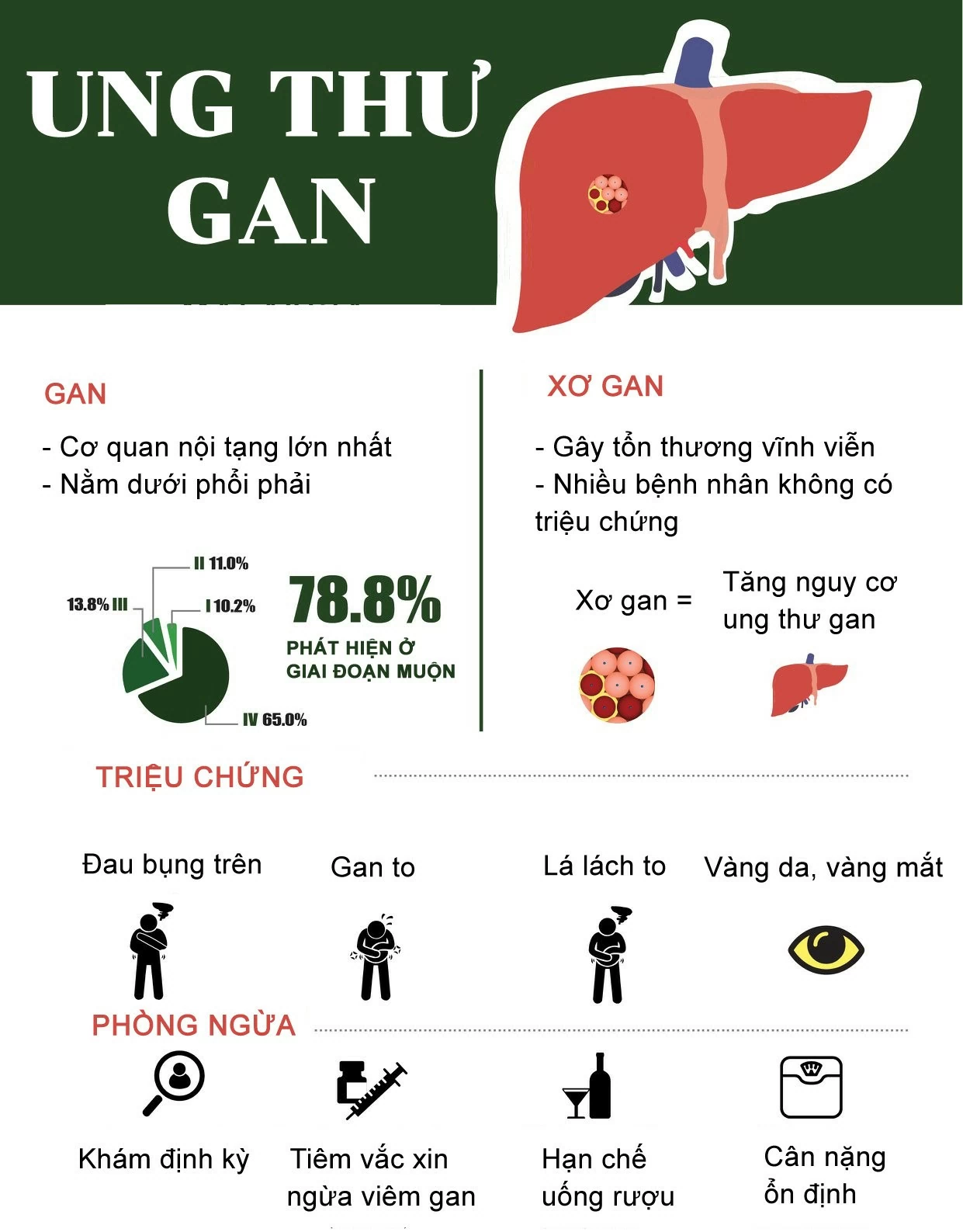 Dấu hiệu nhận biết bệnh ung thư gan. (Hiệp hội Ung thư quốc gia Malaysia/Vietnamnet) Dấu hiệu nhận biết bệnh ung thư gan. (Hiệp hội Ung thư quốc gia Malaysia/Vietnamnet)