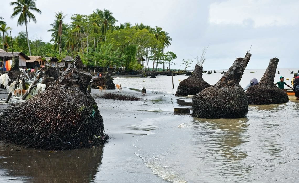 Giáo hoàng Francis công du châu Á: Bước đi thúc đẩy hòa hợp liên tôn giáo Giáo hoàng Francis công du châu Á: Bước đi thúc đẩy hòa hợp liên tôn giáo