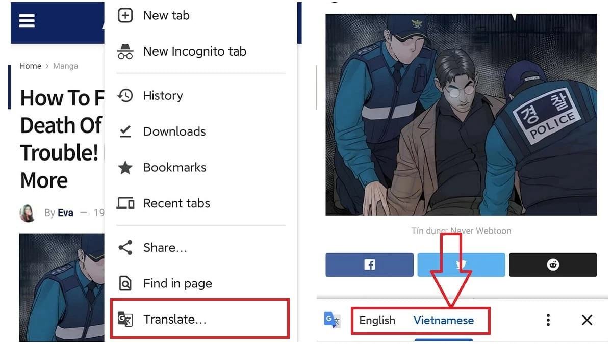 Xem ngay cách dịch tiếng Anh sang tiếng Việt trên điện thoại dễ dàng Xem ngay cách dịch tiếng Anh sang tiếng Việt trên điện thoại dễ dàng