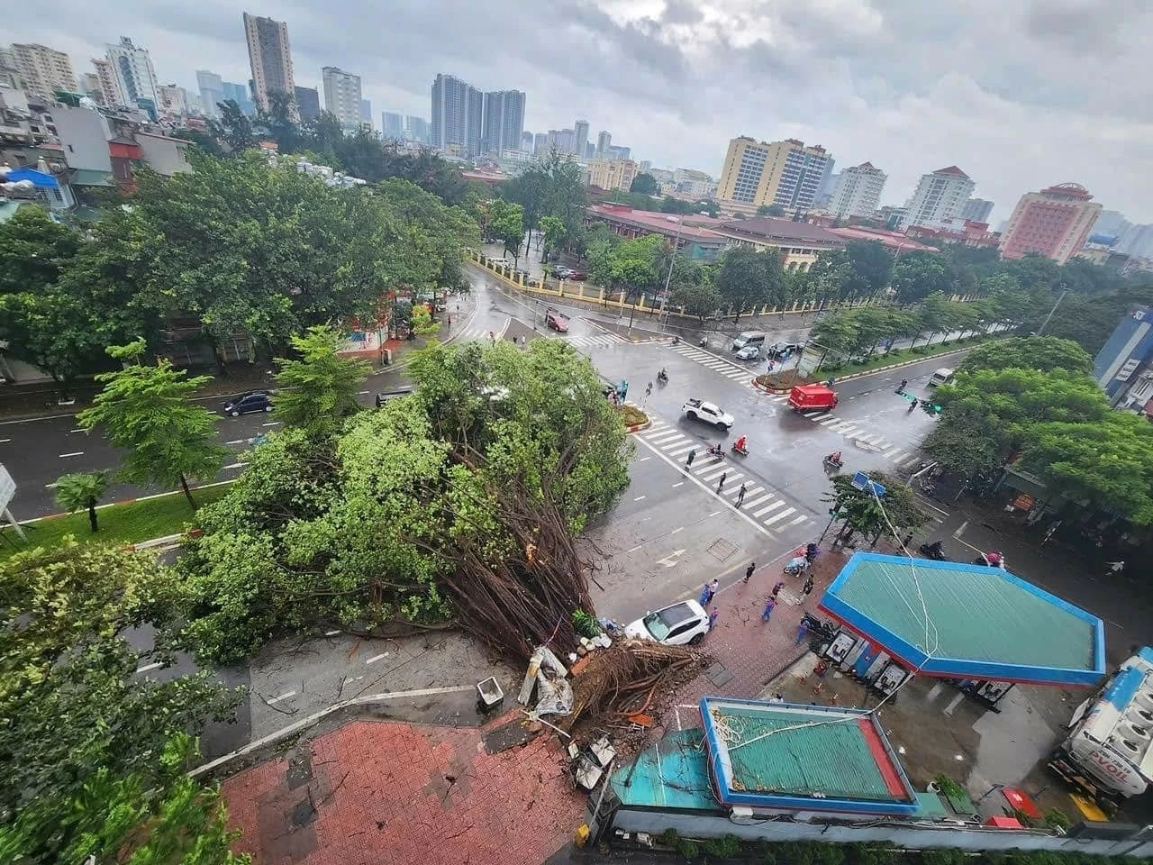 Hình ảnh đổ nát khi bão số 3 càn quét các địa phương phía Bắc Hình ảnh đổ nát khi bão số 3 càn quét các địa phương phía Bắc