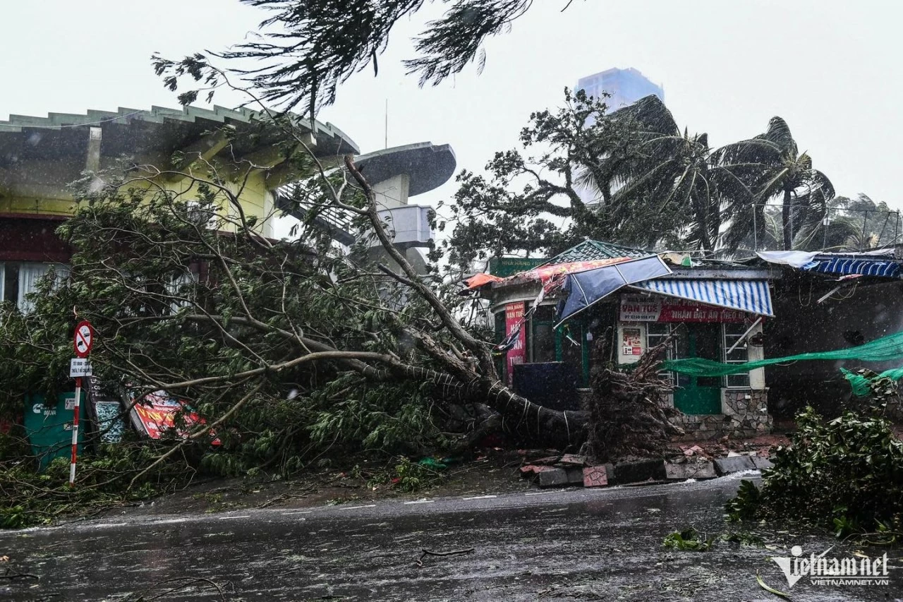 Hình ảnh đổ nát khi bão số 3 càn quét các địa phương phía Bắc Hình ảnh đổ nát khi bão số 3 càn quét các địa phương phía Bắc