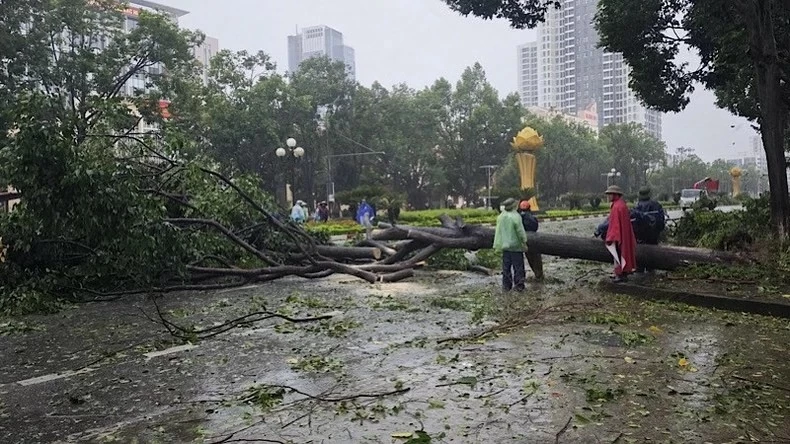 Hình ảnh đổ nát khi bão số 3 càn quét các địa phương phía Bắc Hình ảnh đổ nát khi bão số 3 càn quét các địa phương phía Bắc