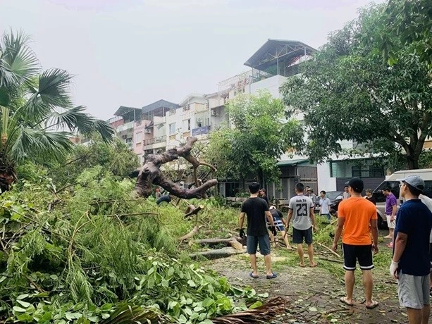 Hà Nội: Triển khai các biện pháp khắc phục, giải tỏa cây xanh gãy đổ sau cơn bão số 3 Hà Nội: Triển khai các biện pháp khắc phục, giải tỏa cây xanh gãy đổ sau cơn bão số 3