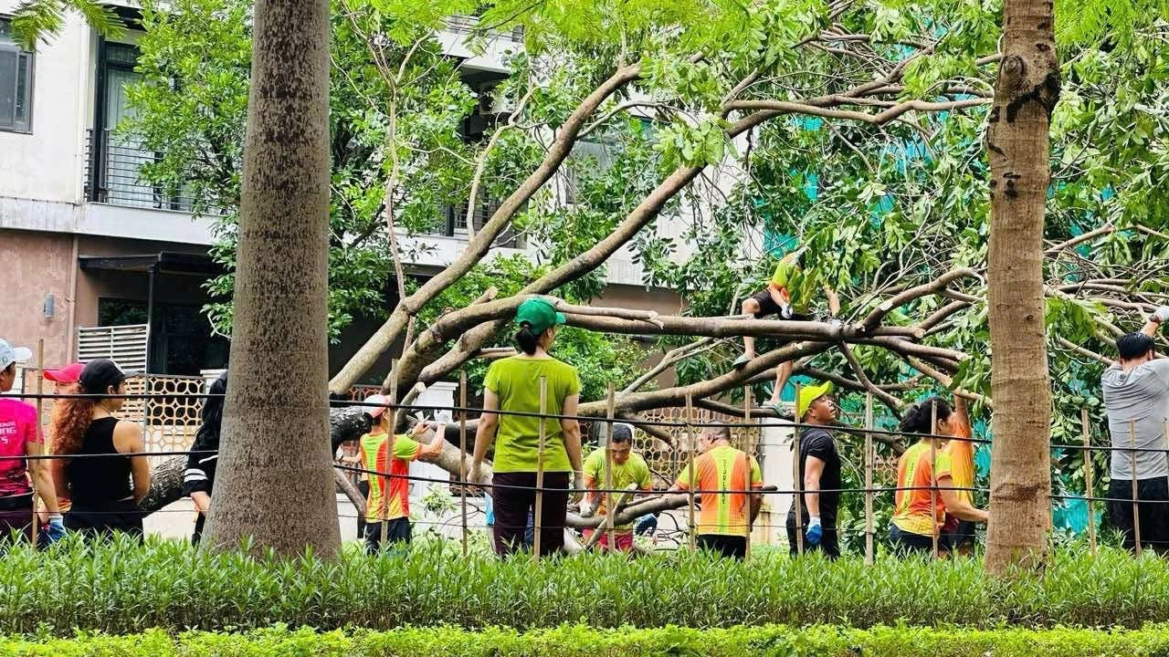 Hà Nội hỗ trợ khẩn cấp các tỉnh, thành phố bị thiệt hại do bão số 3 Hà Nội hỗ trợ khẩn cấp các tỉnh, thành phố bị thiệt hại do bão số 3