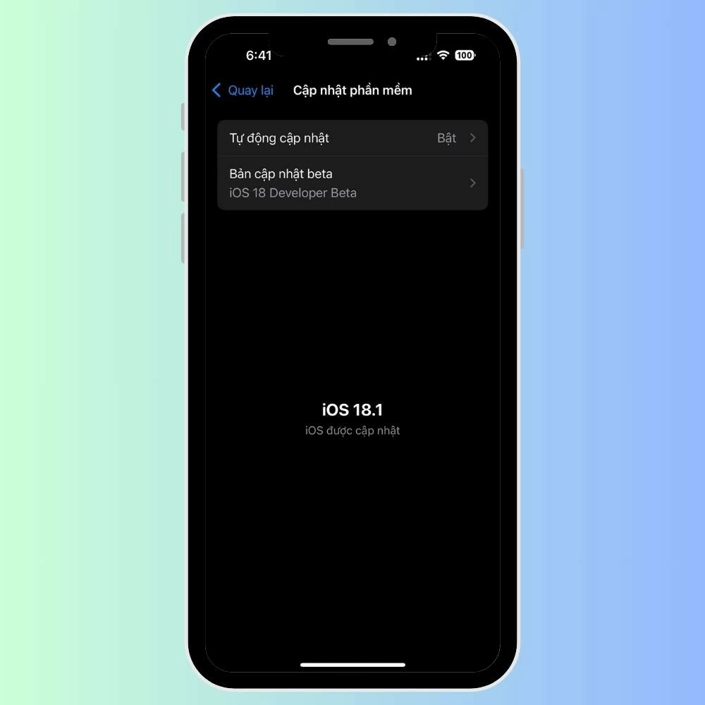 Hướng dẫn cách khắc phục iOS 18 lỗi mạng nhanh chóng Hướng dẫn cách khắc phục iOS 18 lỗi mạng nhanh chóng